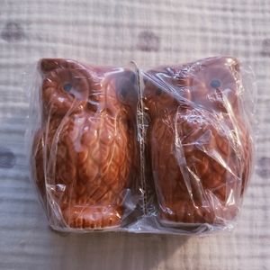 Fall Owl Salt and Pepper Shaker Set. NWT.